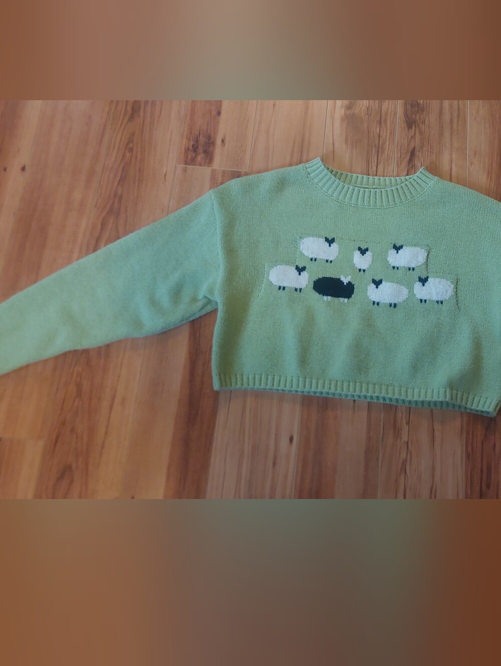 Black Sheep Cropped Sweater By Cider